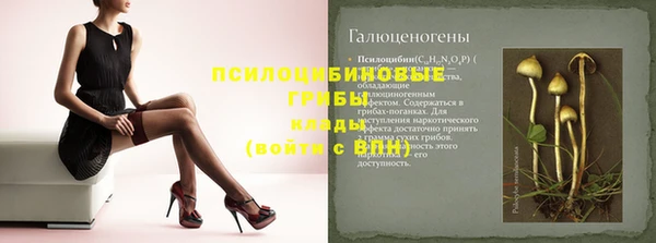 сатива Медногорск