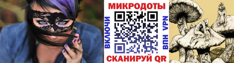 кракен вход  Нововоронеж  Псилоцибиновые грибы MAGIC MUSHROOMS 