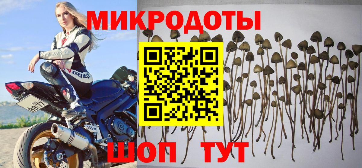 Нововоронеж  Вход с VPN  A-PVP  Кокаин  Мяу-Мяу  ЛЁД  Гашик  Меф 