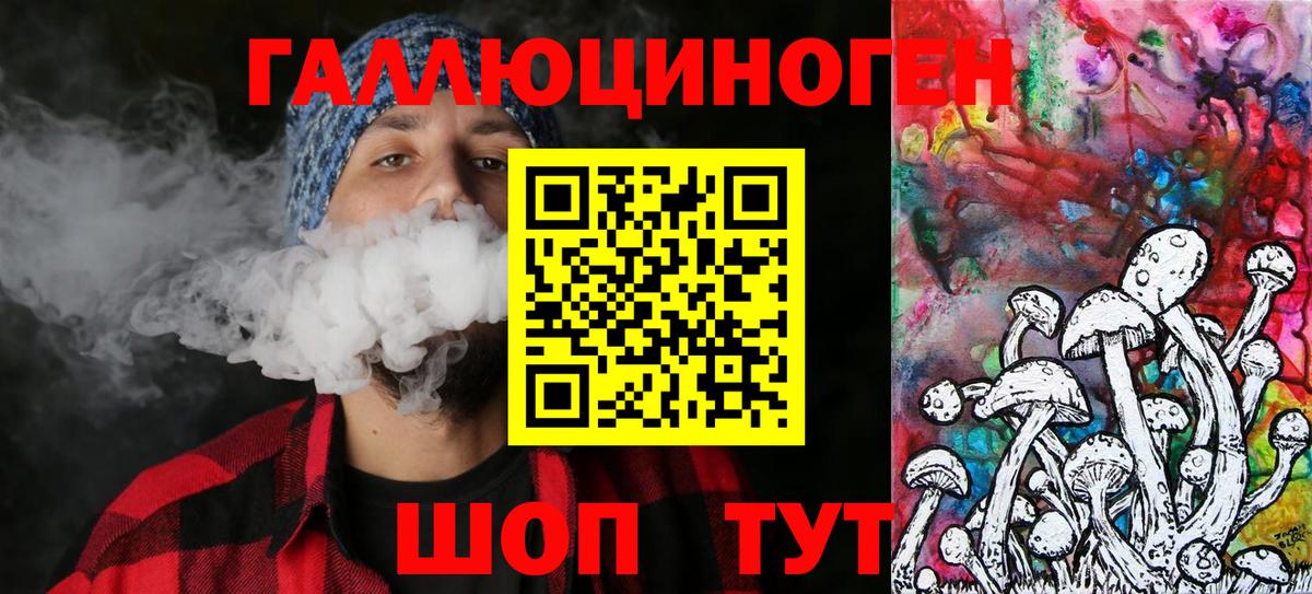 Галлюциногенные грибы Psilocybe  Нововоронеж  Псилоцибиновые грибы MAGIC MUSHROOMS 