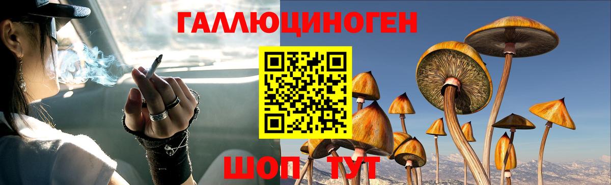 Нововоронеж  Псилоцибиновые грибы GOLDEN TEACHER  Вход с VPN  Галлюциногенные грибы GOLDEN TEACHER 